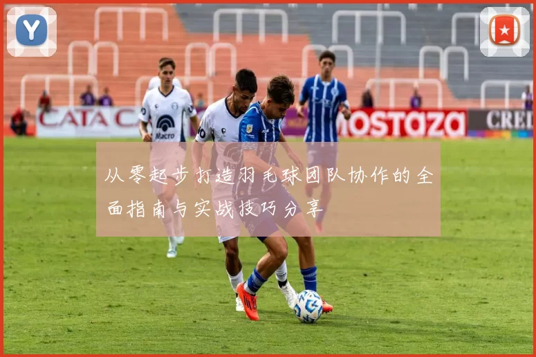 从零起步打造羽毛球团队协作的全面指南与实战技巧分享