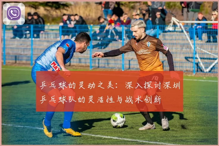 乒乓球的灵动之美：深入探讨深圳乒乓球队的灵活性与战术创新