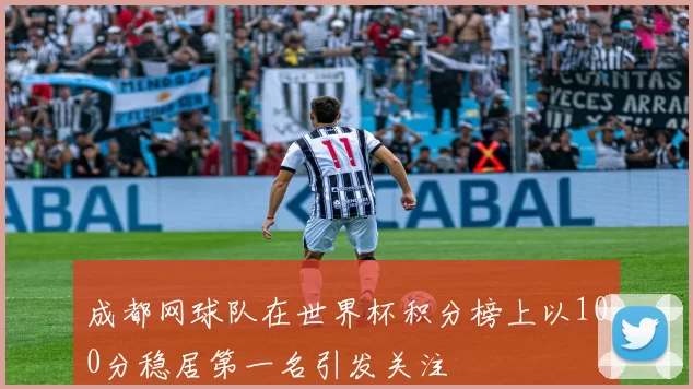成都网球队在世界杯积分榜上以100分稳居第一名引发关注