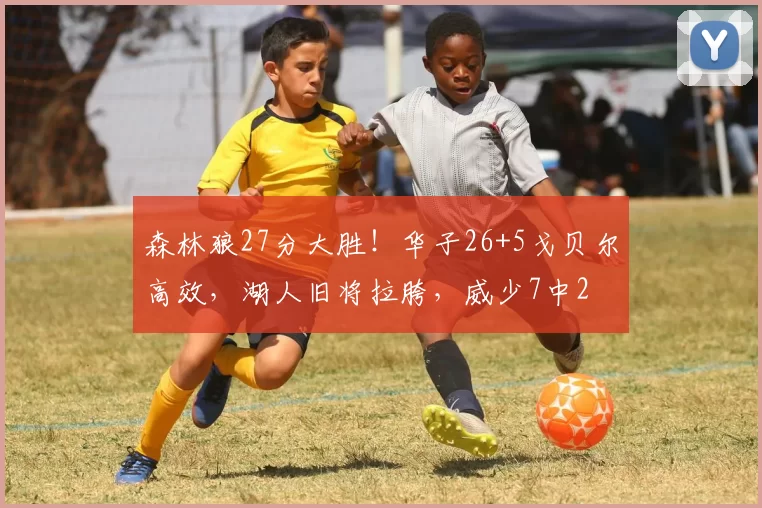 森林狼27分大胜！华子26+5戈贝尔高效，湖人旧将拉胯，威少7中2