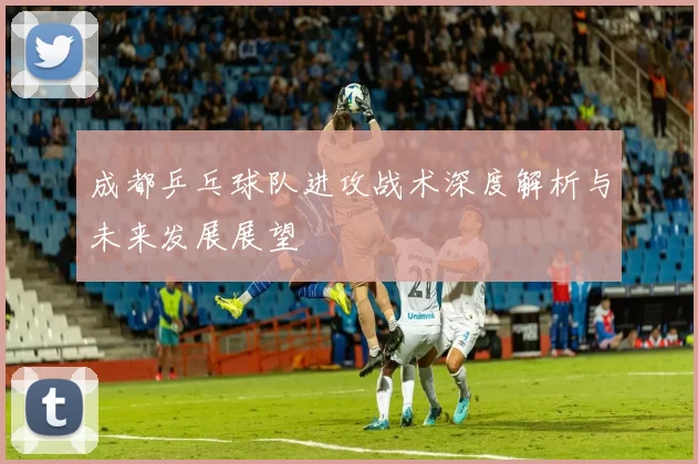成都乒乓球队进攻战术深度解析与未来发展展望