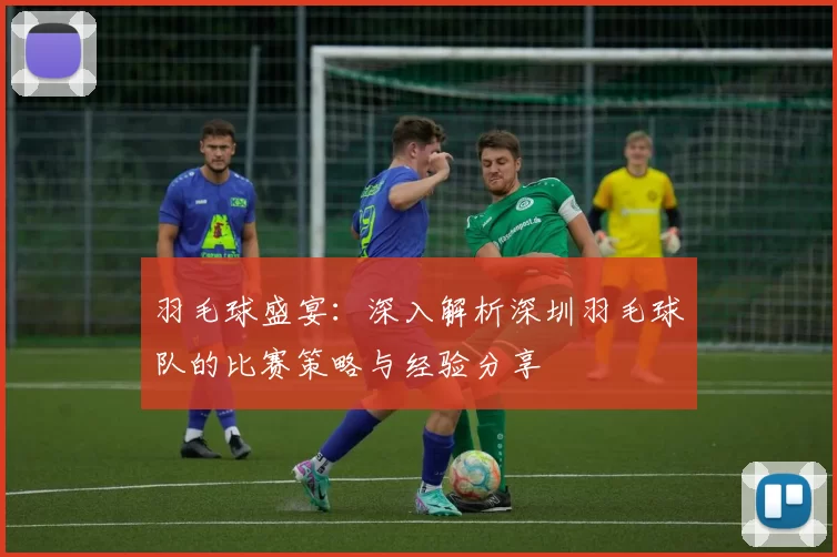 羽毛球盛宴：深入解析深圳羽毛球队的比赛策略与经验分享
