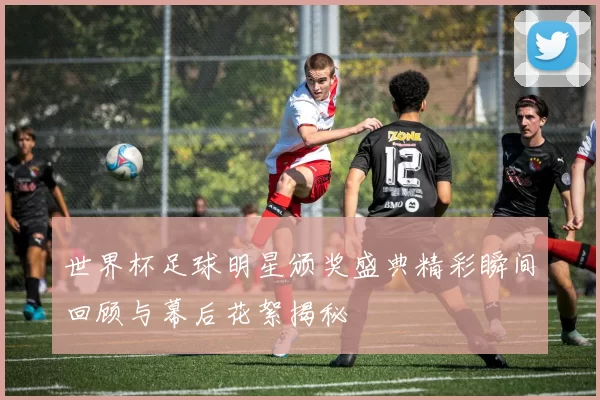 世界杯足球明星颁奖盛典精彩瞬间回顾与幕后花絮揭秘