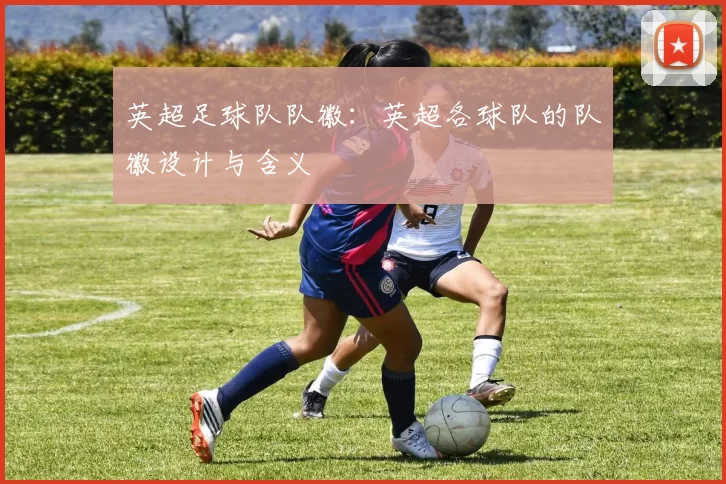 英超足球队队徽：英超各球队的队徽设计与含义
