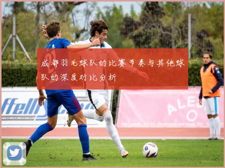 成都羽毛球队的比赛节奏与其他球队的深度对比分析