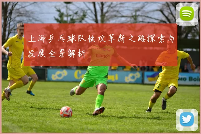 上海乒乓球队快攻革新之路探索与发展全景解析