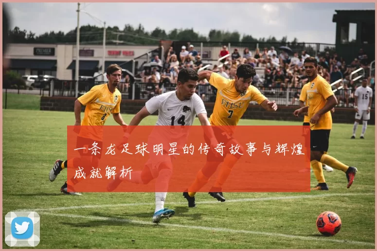 一条龙足球明星的传奇故事与辉煌成就解析