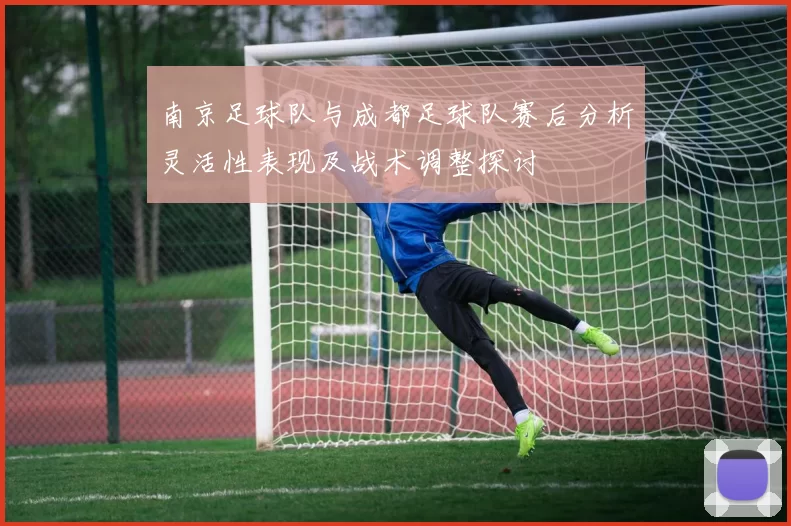 南京足球队与成都足球队赛后分析灵活性表现及战术调整探讨