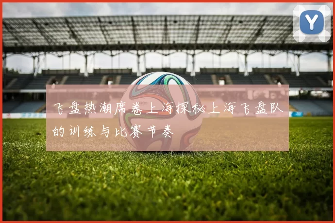 飞盘热潮席卷上海探秘上海飞盘队的训练与比赛节奏