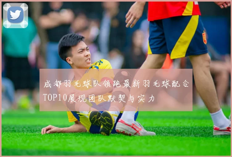 成都羽毛球队领跑最新羽毛球配合TOP10展现团队默契与实力
