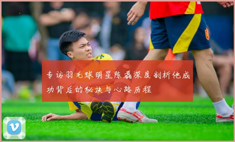 专访羽毛球明星陈磊深度剖析他成功背后的秘诀与心路历程