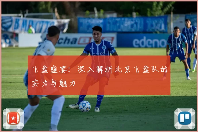 飞盘盛宴：深入解析北京飞盘队的实力与魅力
