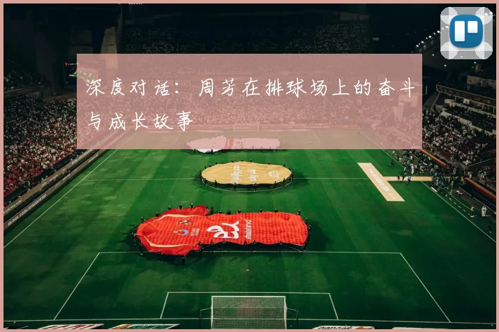深度对话：周芳在排球场上的奋斗与成长故事
