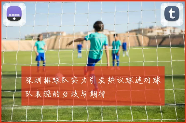深圳排球队实力引发热议球迷对球队表现的分歧与期待