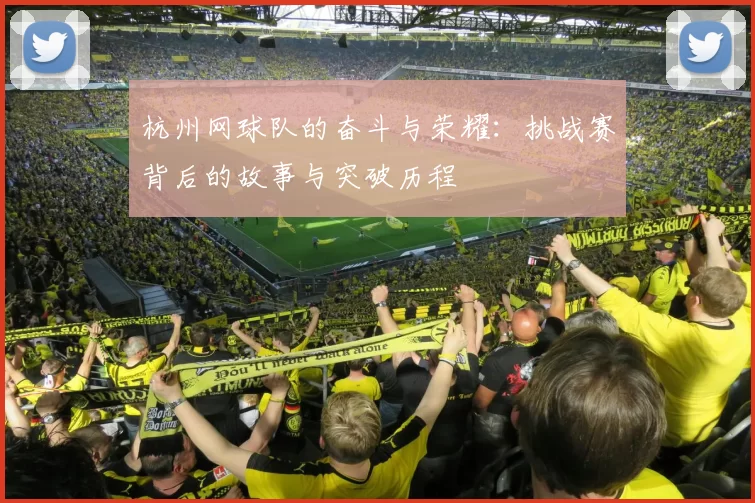杭州网球队的奋斗与荣耀：挑战赛背后的故事与突破历程