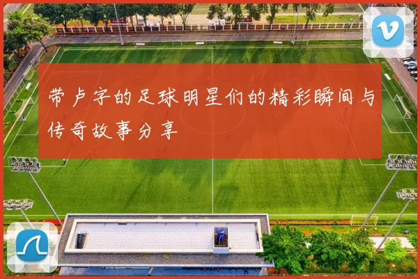 带卢字的足球明星们的精彩瞬间与传奇故事分享
