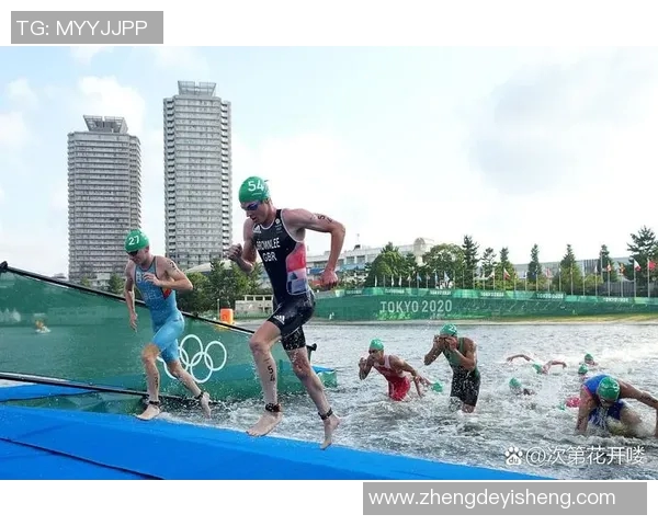 奥运游泳冠军的传奇故事与背后的坚持与奋斗精神